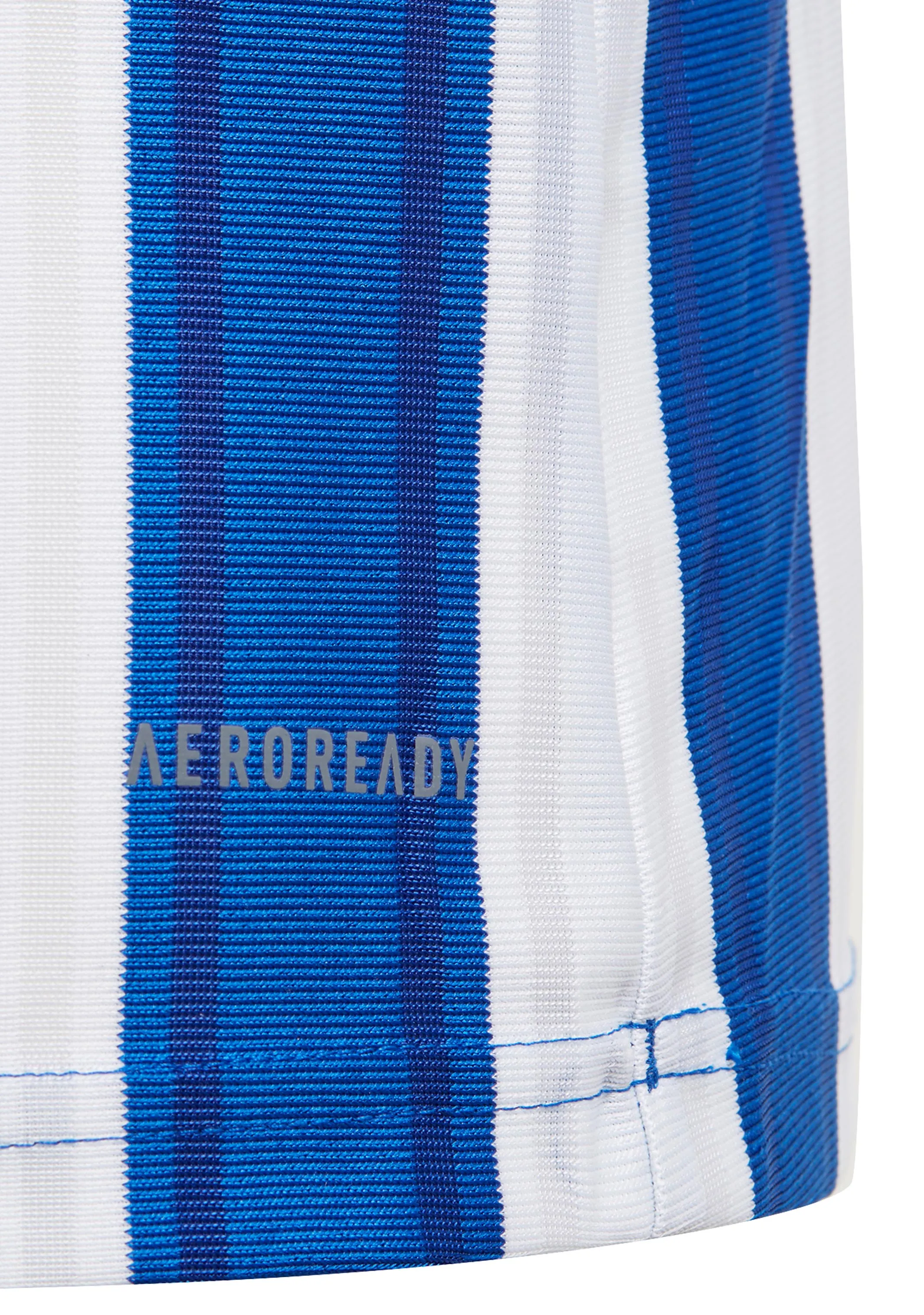 Adidas Youth Striped 21 Jersey Blue/White <br> GH7323