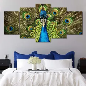 Champion Peacock