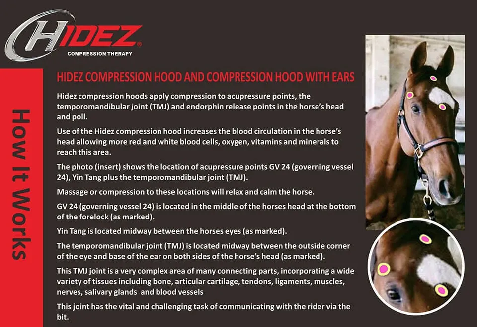 Hidez Compression Hood with Ears and Zipper