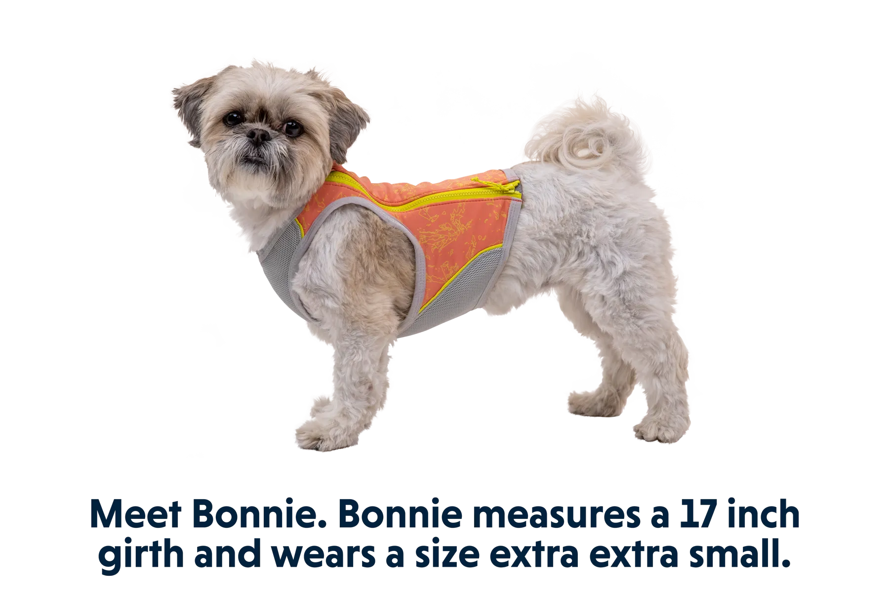 Swamp Cooler Zip™ Cooling Dog Vest