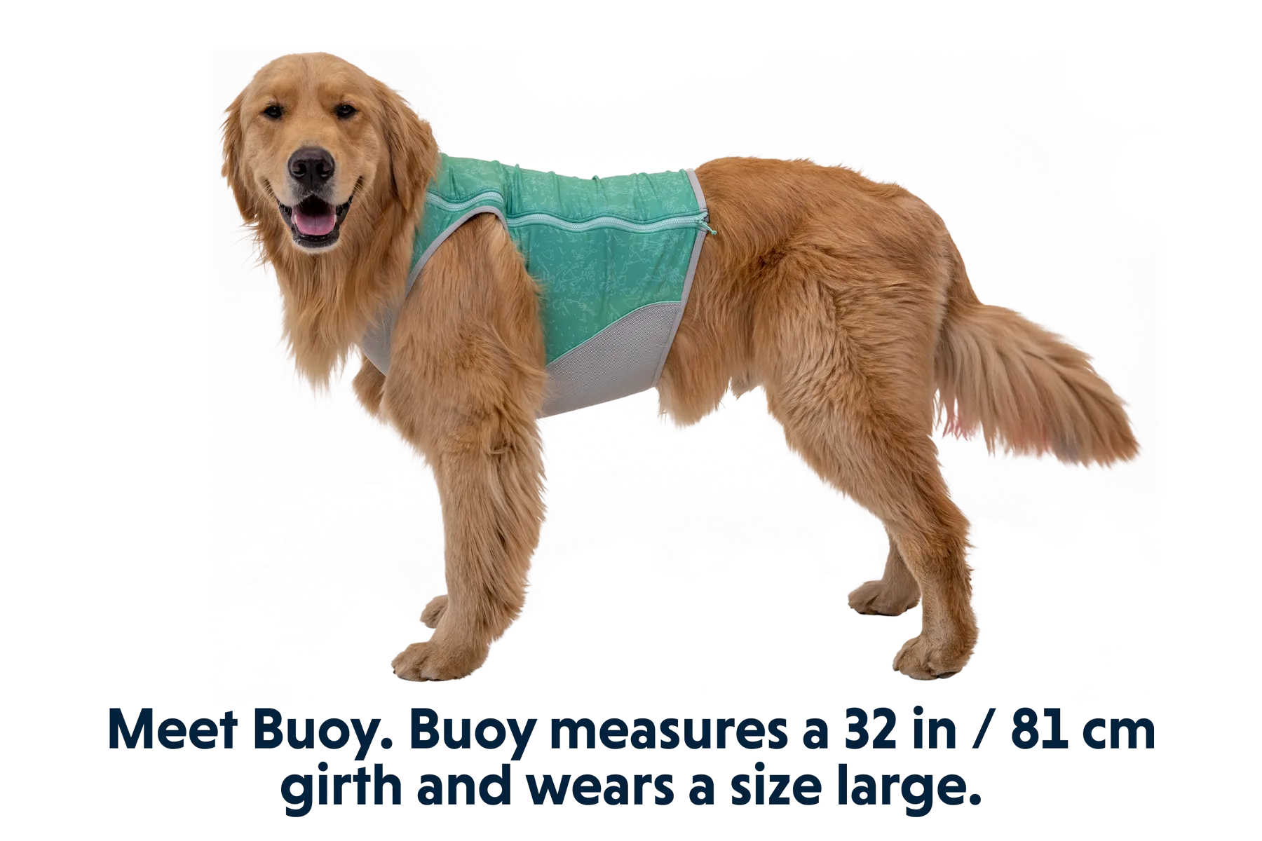 Swamp Cooler Zip™ Cooling Dog Vest