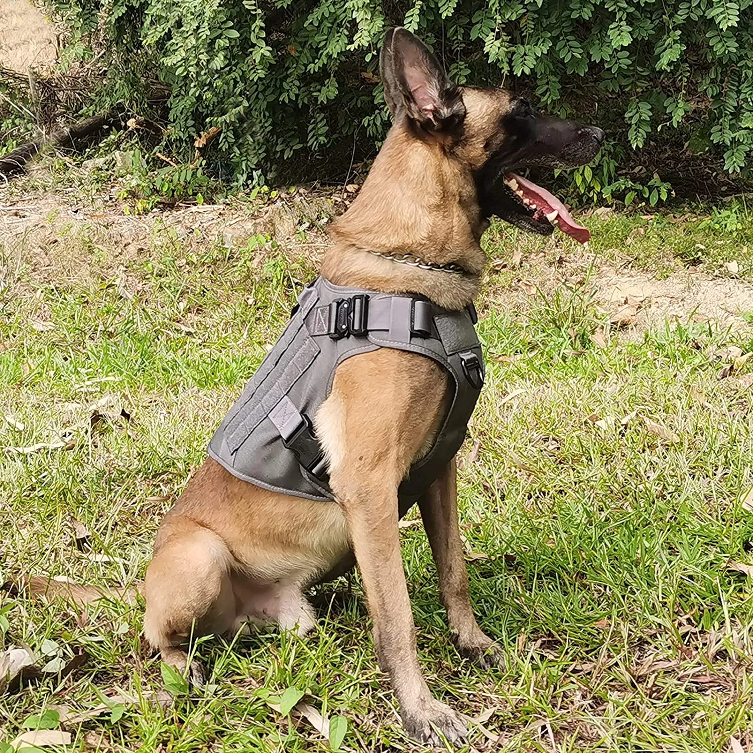 Tactical Dog Harness